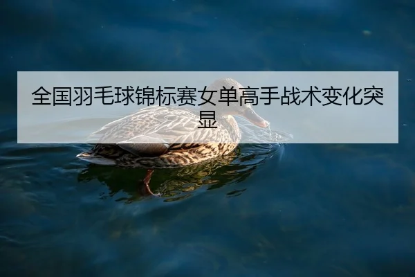 全国羽毛球锦标赛女单高手战术变化突显